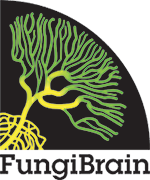 Logo FungiBrain